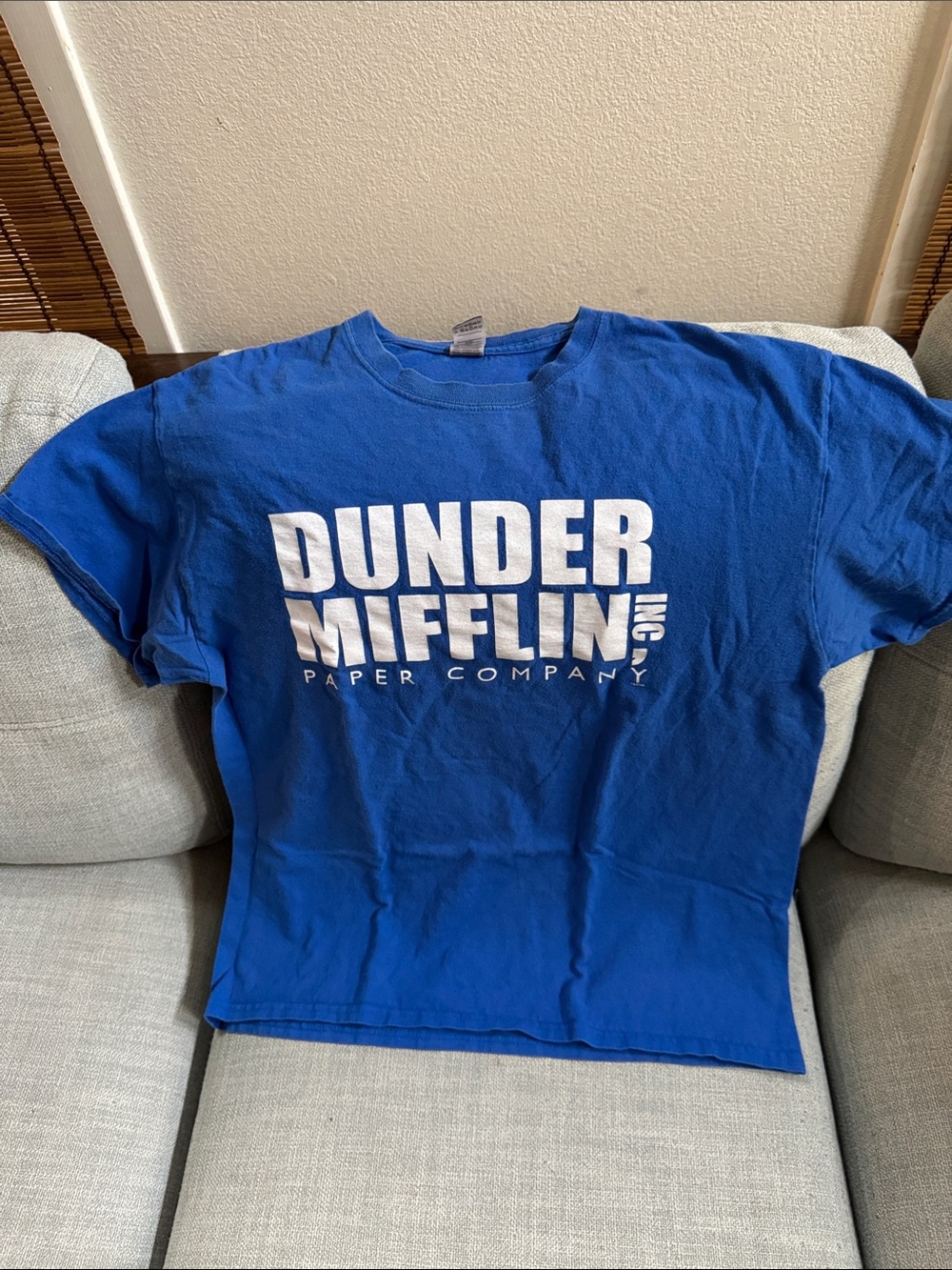 Dunder Mifflin Logo T‑Shirt and Hoodie